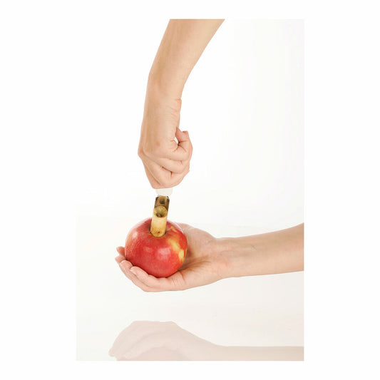 V4H0331D92E4DD96478BB7D96783AE87E6AR4924247P2