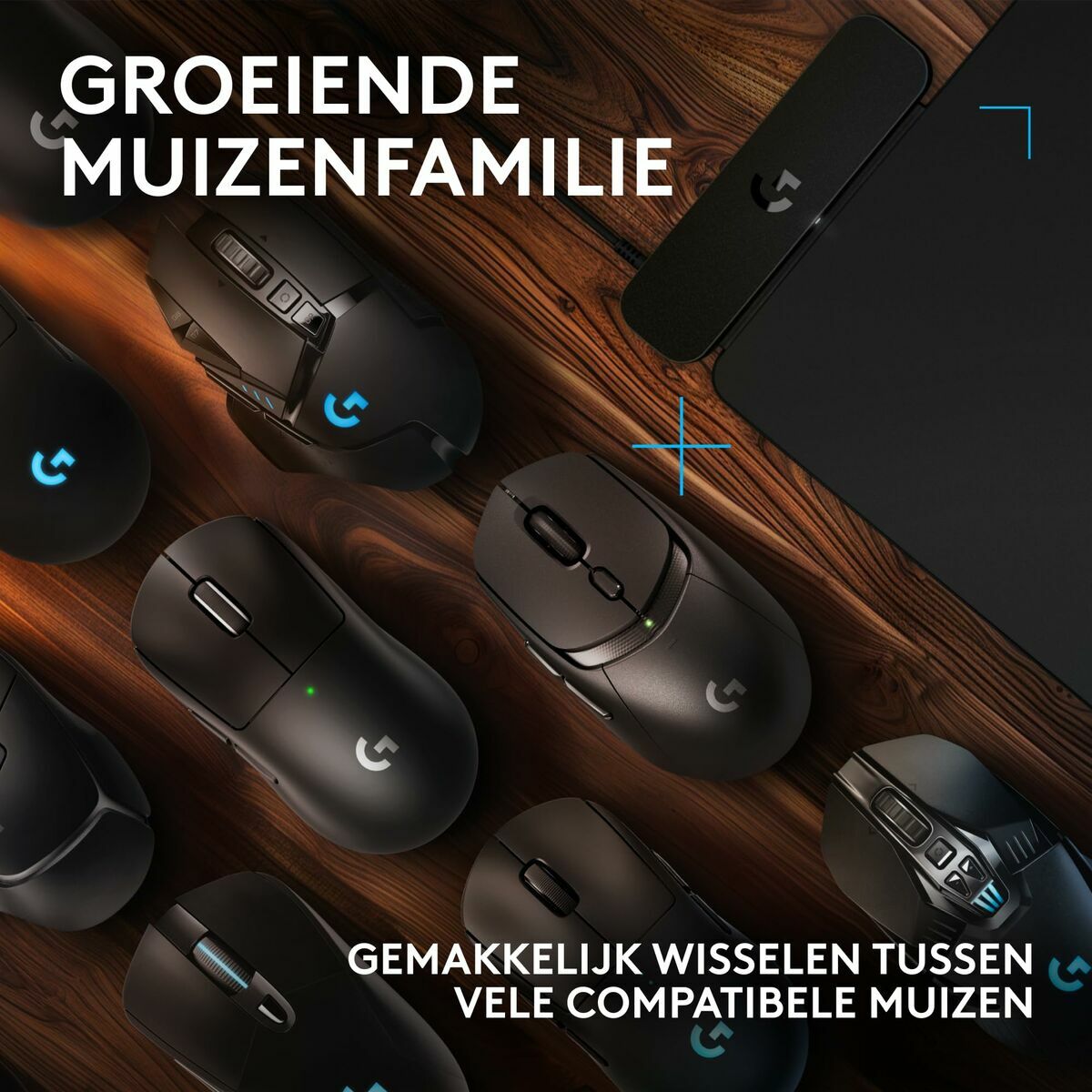 V4H66F91E95606407E04909FE3A8A7205D7R5758554P6