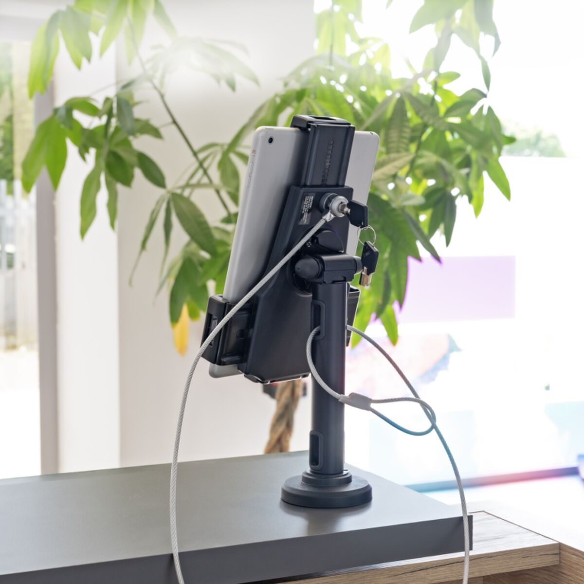 V2HF679DC6A167F59BED565F8B813F16949R6733299P7