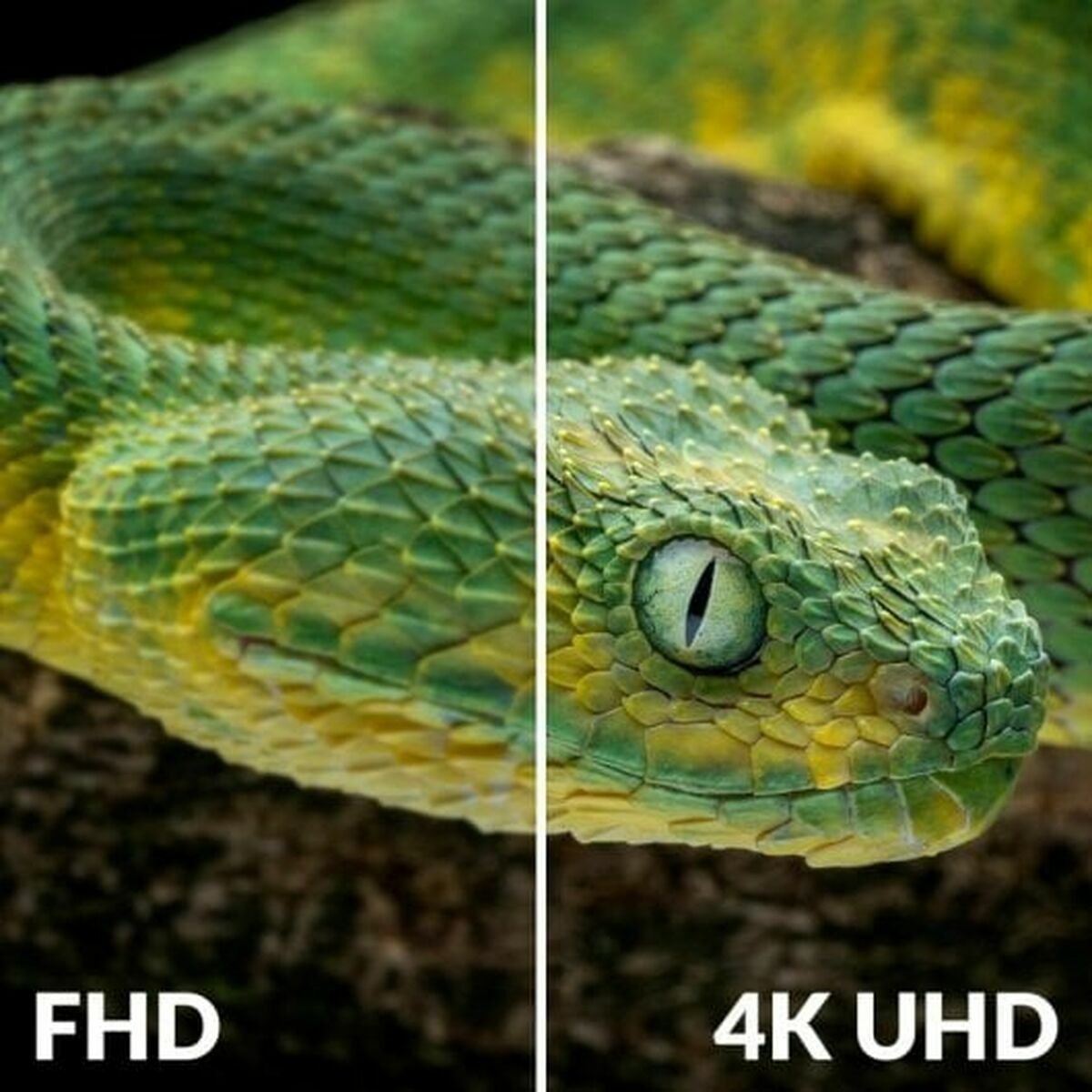 V3HF08A4B8733653E2181245A4AFFCC7694R6246584P7