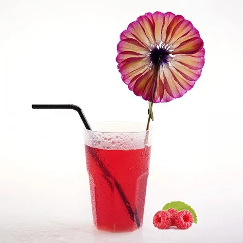 COPO GRANITY EM PP 30CL (300ML)