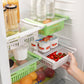 Organizador de Frigorífico Ajustável Friwer – 2 Unidades