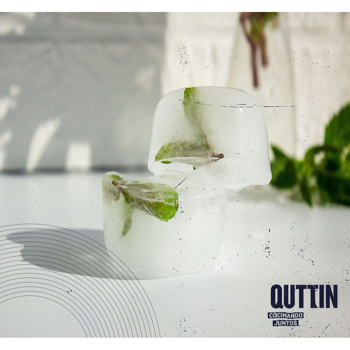 V3H578C24B8777E28C0A6E7EF55C99ABCCCR5641133P5