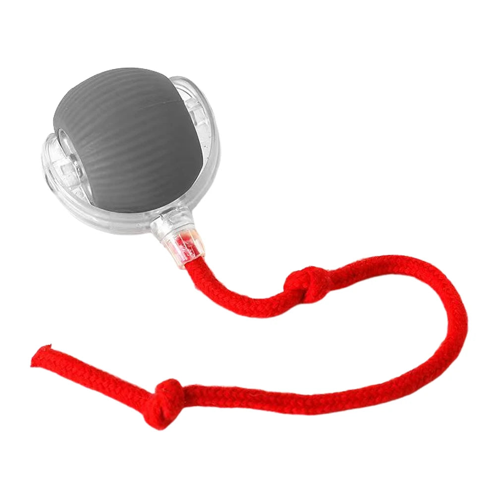 Cat Interactive Ball Automatic Rolling Ball Fake Tail Rechargeable Electric Pet Dog Cat Toy Fake Tail Training Imitate Mouse Toy