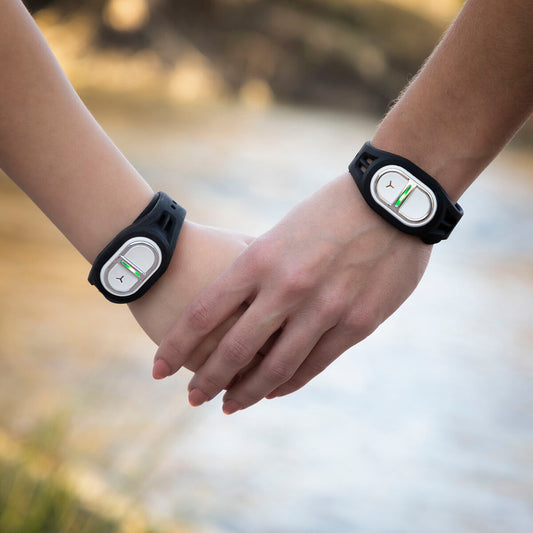 V13H31A1080551005A8E6E7393FF2EE3C51FR4401649P2